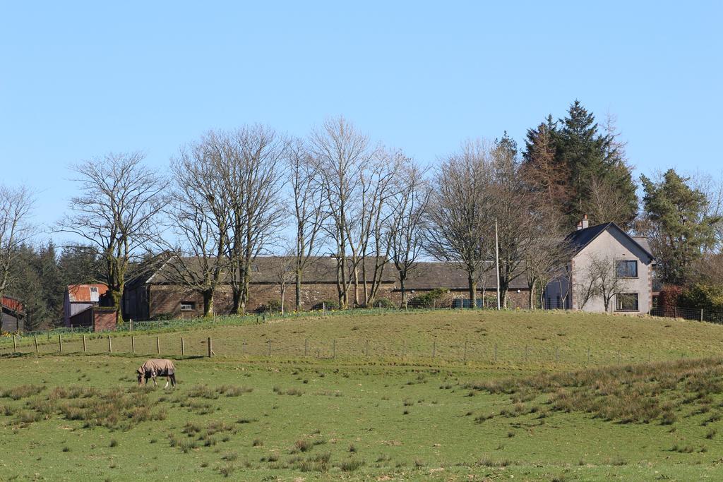 Shandon Farmhouse Bed And Breakfast Драймен Екстериор снимка